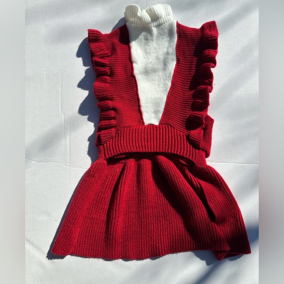 Red Ruffled Knit Dress - Picture 4 of 4